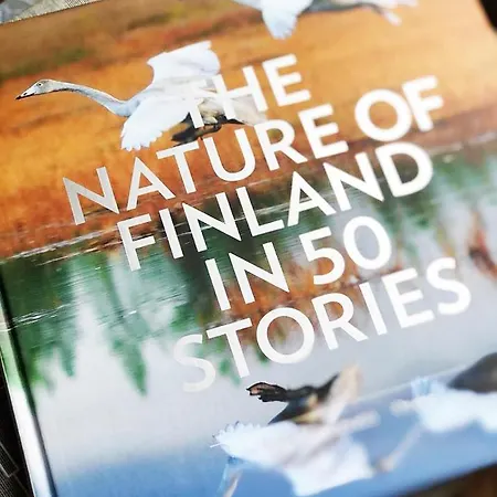 住宿加早餐酒店 Eleonora 克里斯蒂娜城