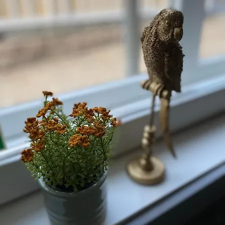 Eleonora 4* Kristinestad