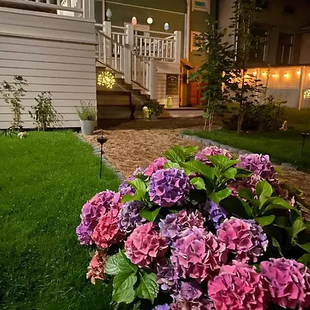 Eleonora Kristinestad