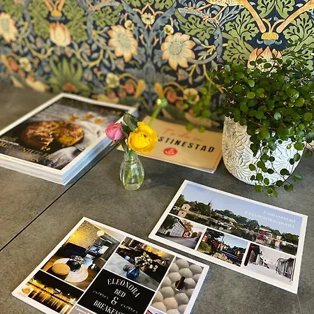 Eleonora Bed and breakfast Kristinestad