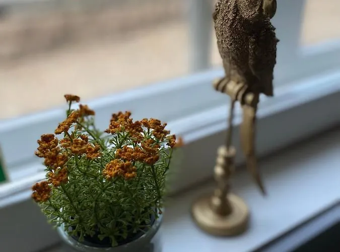 Eleonora 4* 克里斯蒂娜城