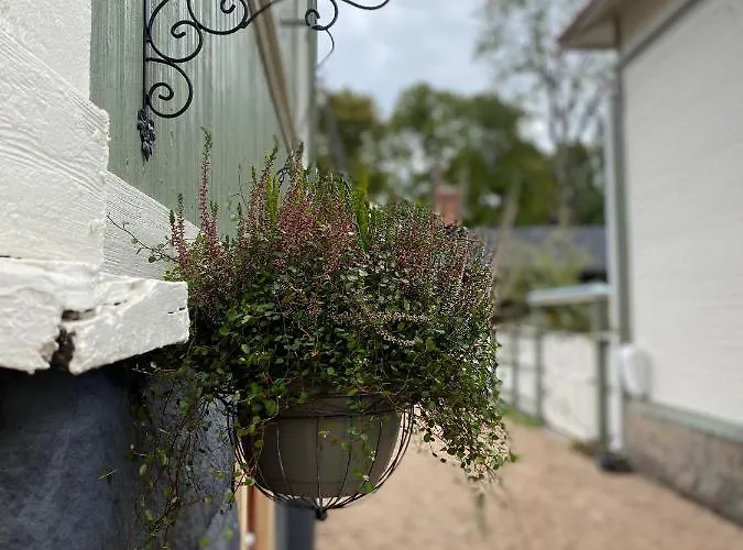 Eleonora 住宿加早餐酒店 克里斯蒂娜城